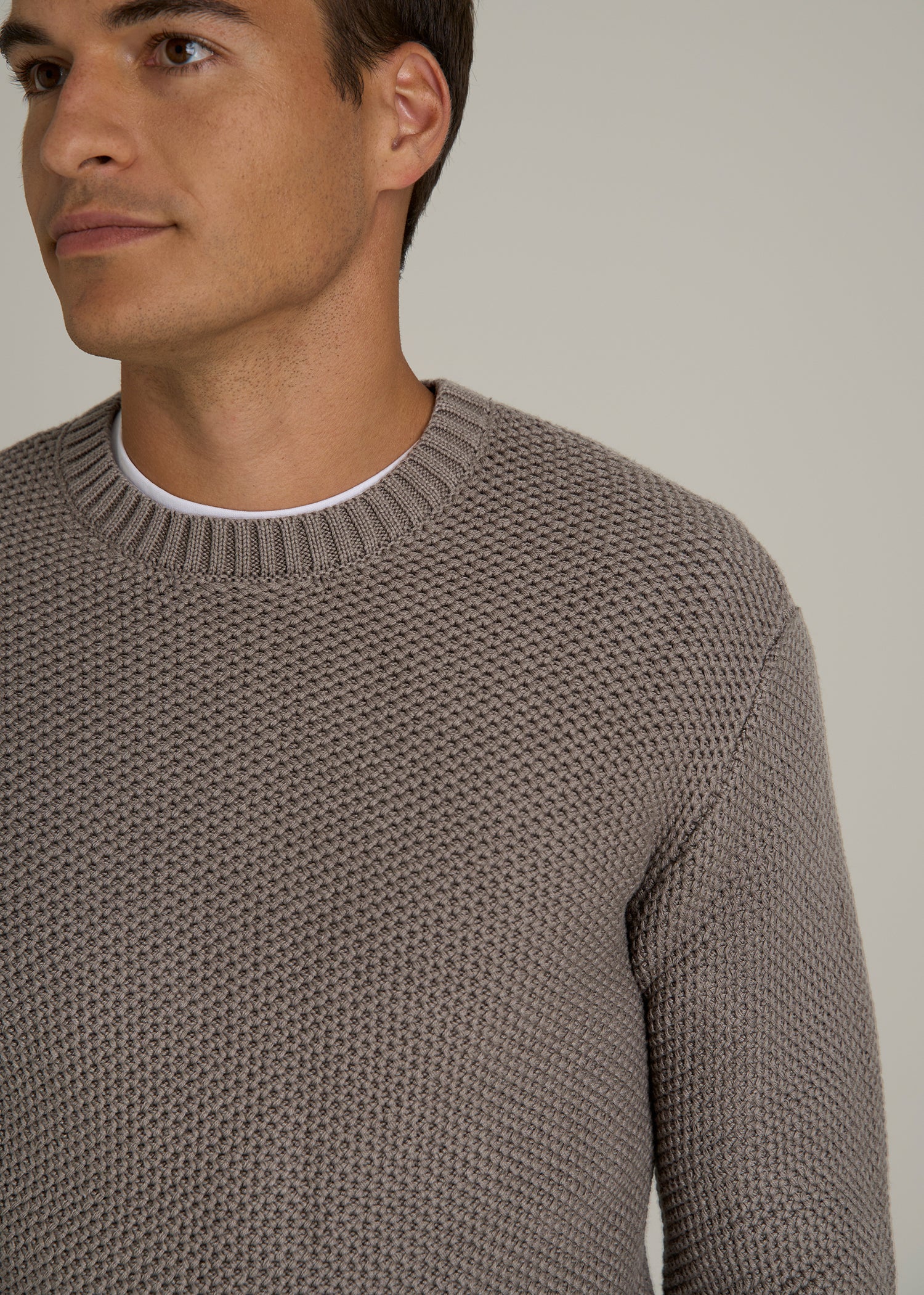 Chunky Knit Textured Crewneck Sweater for Tall Men in Portobello