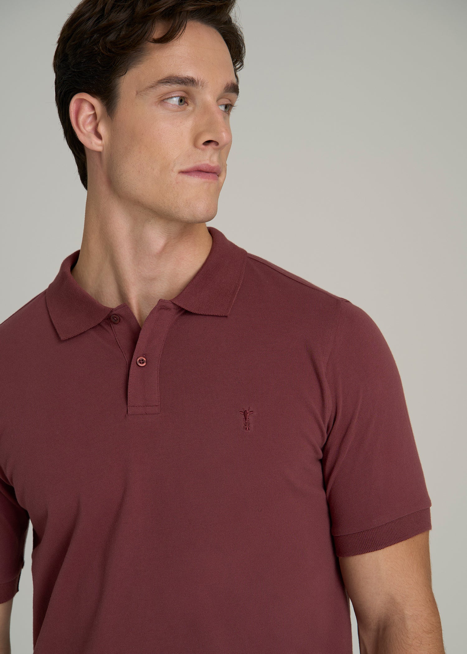 Classic Polo with Embroidered Logo for Tall Men in Cherry Brown