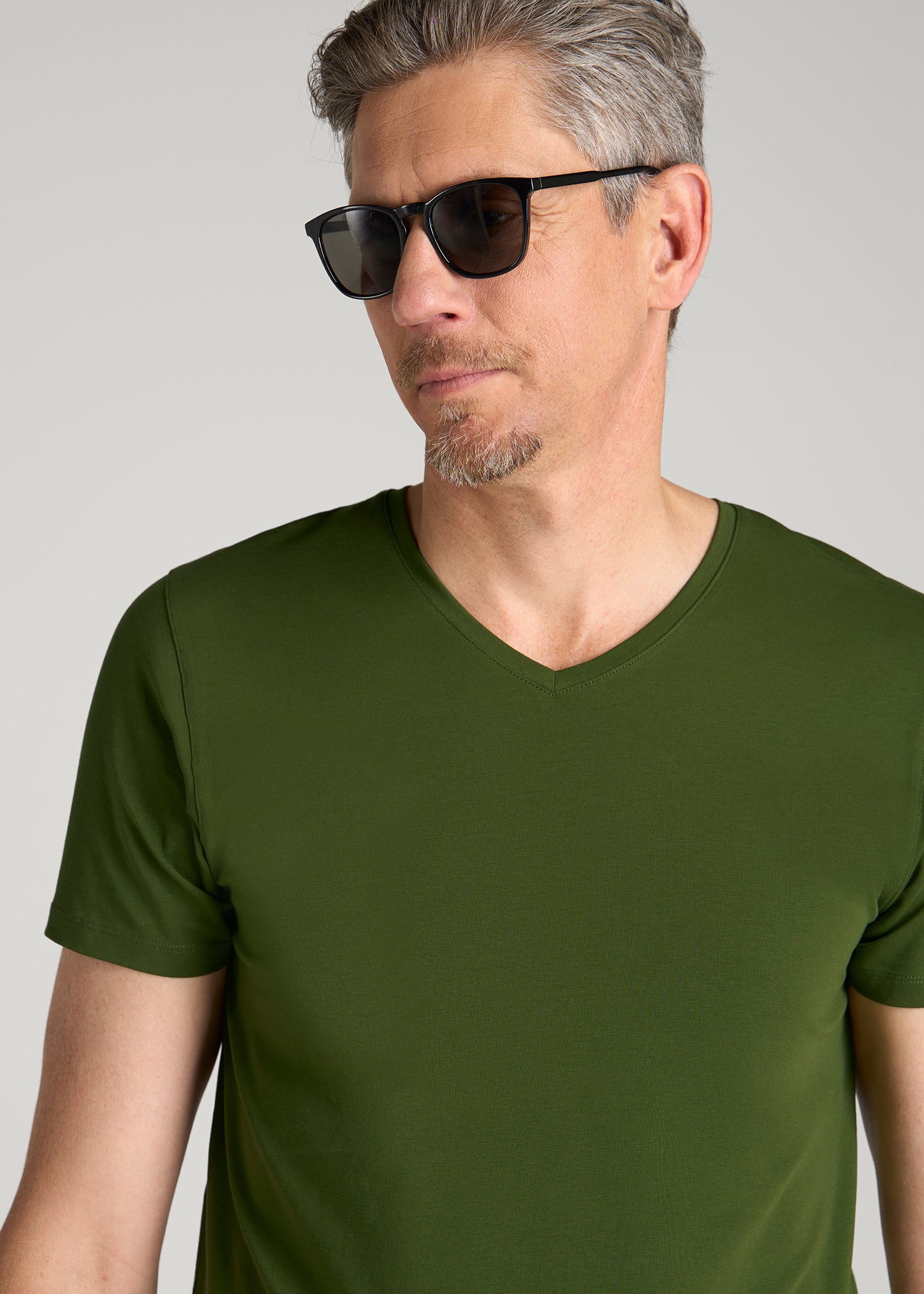 The Essential Modern Fit V-Neck Tee for Tall Men in Bay Leaf