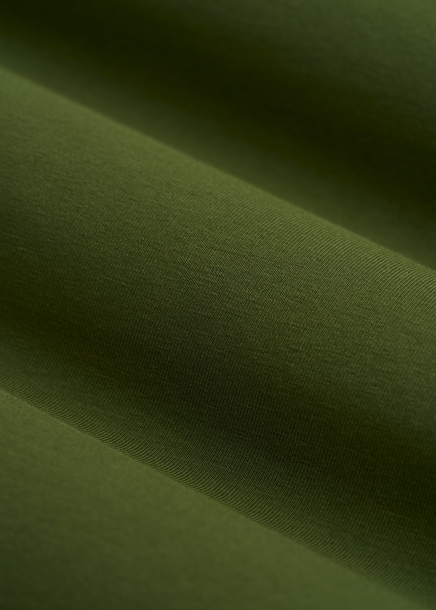 The Essential Modern Fit Crewneck Tee for Tall Men in Bay Leaf