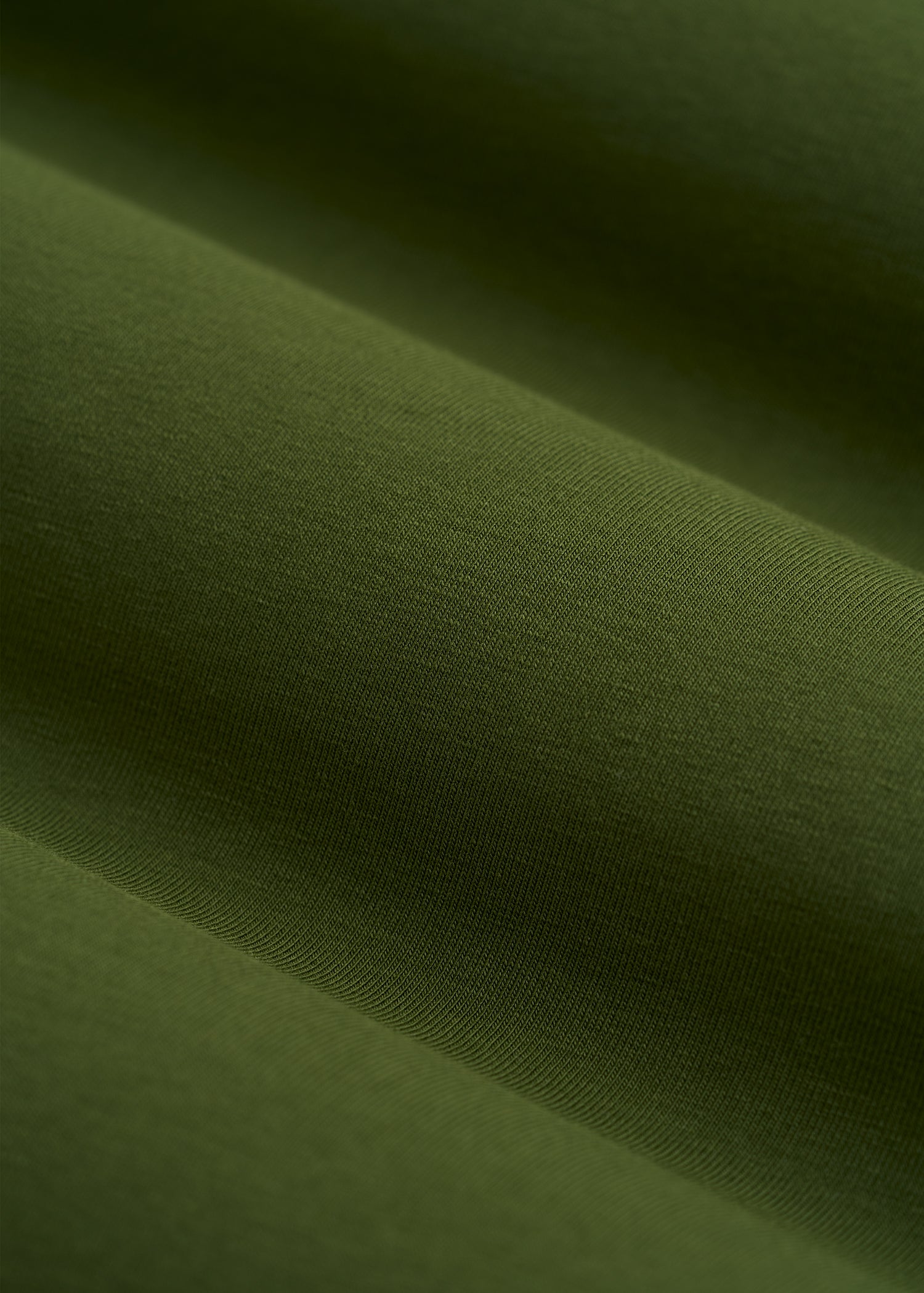 The Essential Modern Fit V-Neck Tee for Tall Men in Bay Leaf