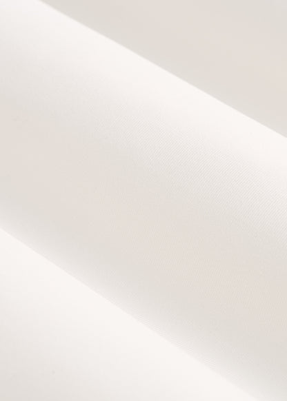 Long Sleeve UPF 50 Rash Guard for Tall Men in White Alyssum