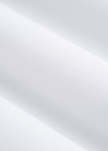 Traveler Stretch Dress Shirt in White