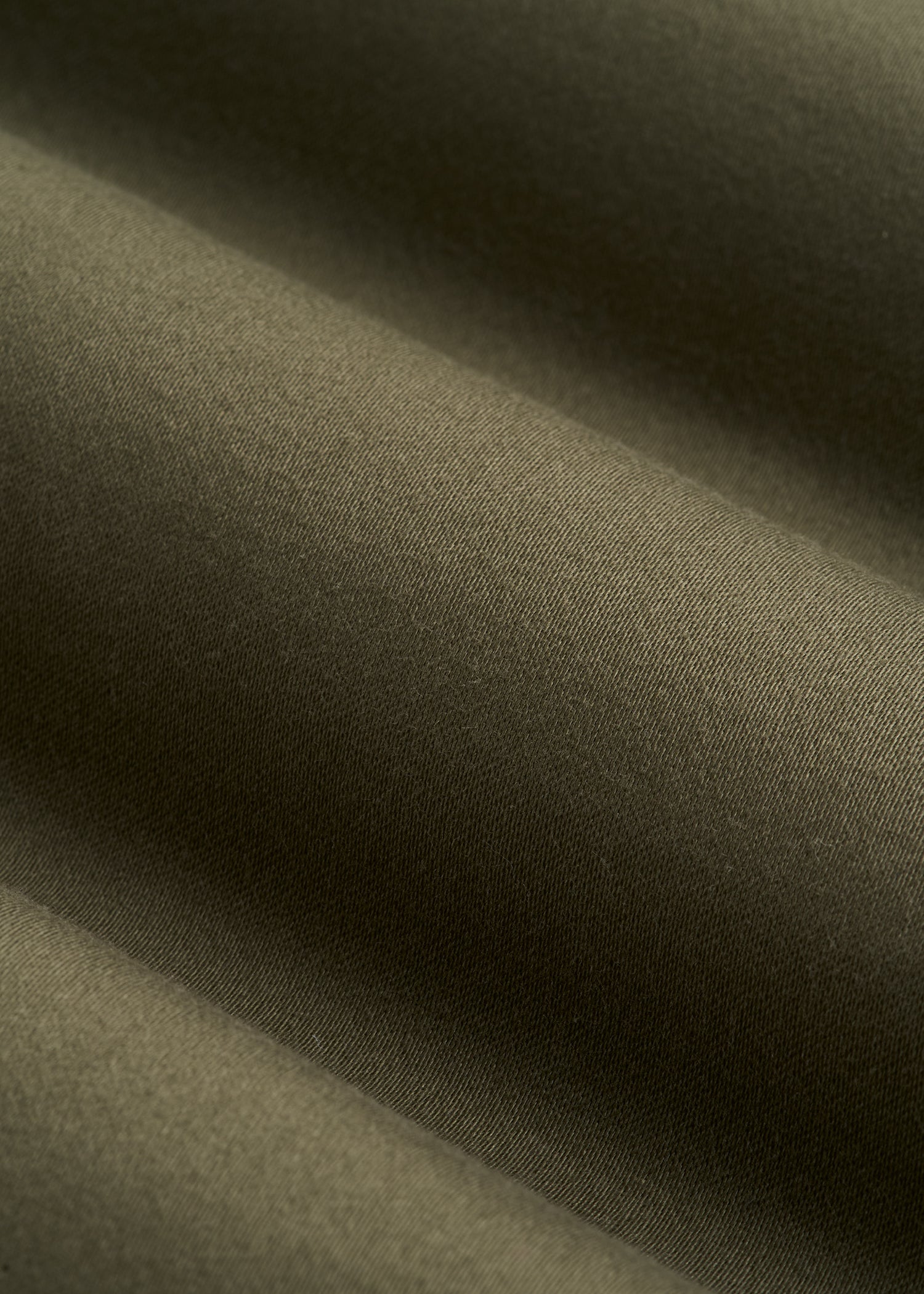 Pleated Wide Leg Chino With Belt for Tall Women in Forest Night