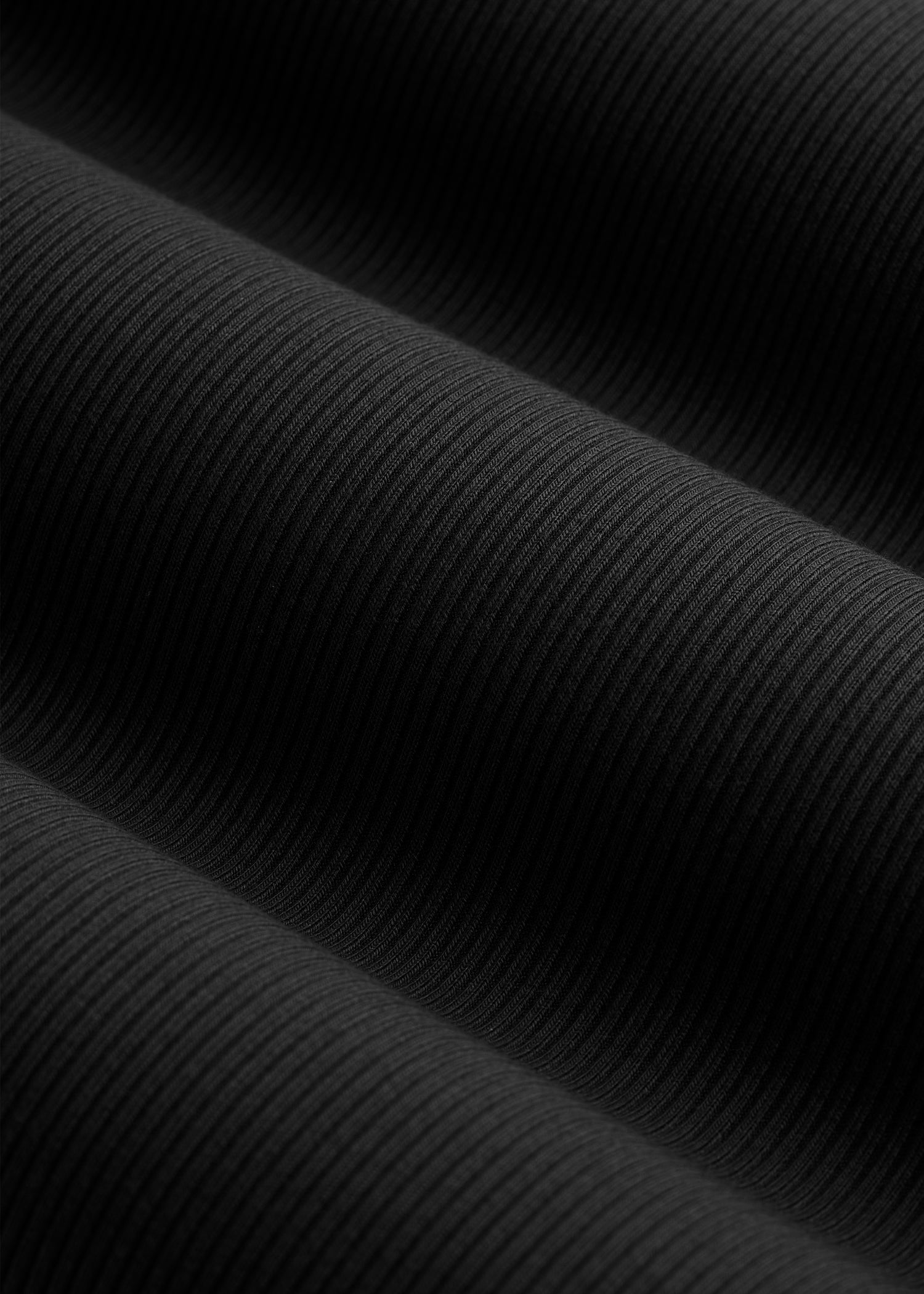 Ribbed Knit Long Sleeve Polo for Tall Women in Deep Black