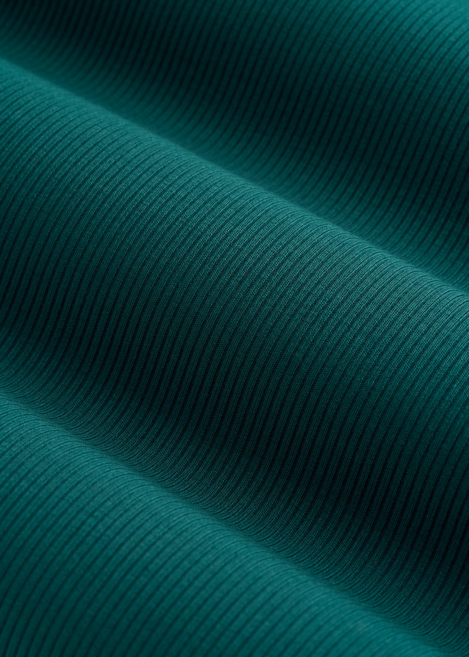 Ribbed Knit Long Sleeve Polo for Tall Women in Deep Teal