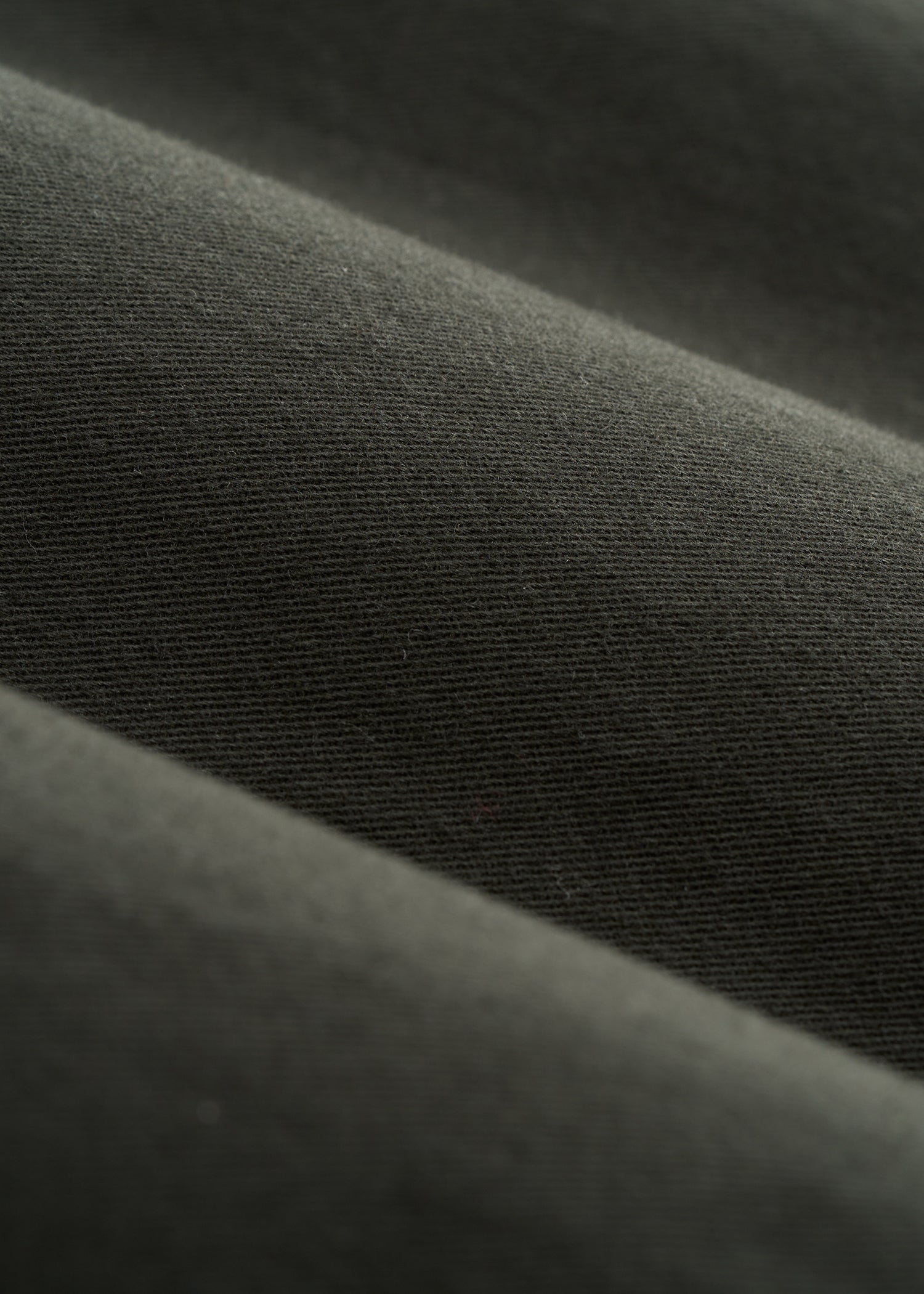 High Rise Tapered Chino Pants for Tall Women in Pine Grove