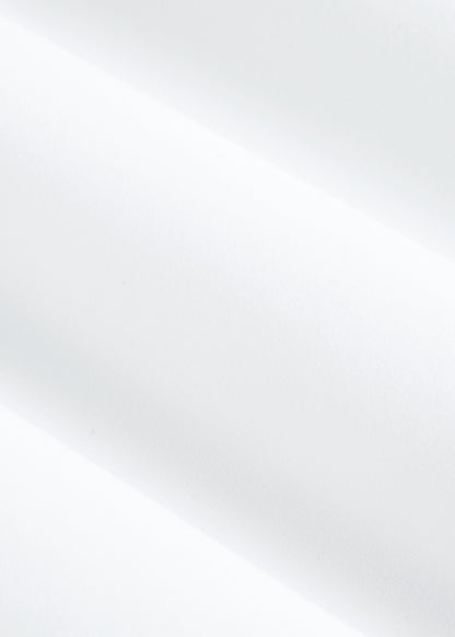 Easy Care Stretch Cotton Dress Shirt for Tall Men in White